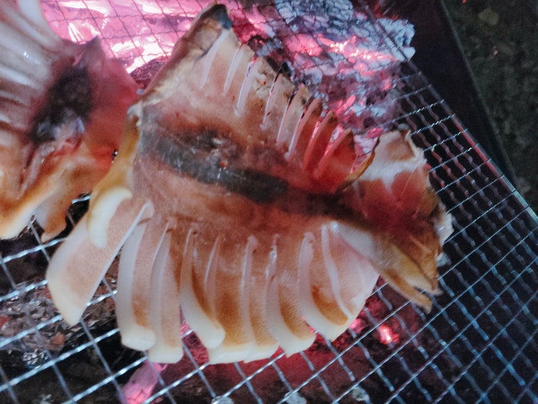 인어시스터즈 이미지