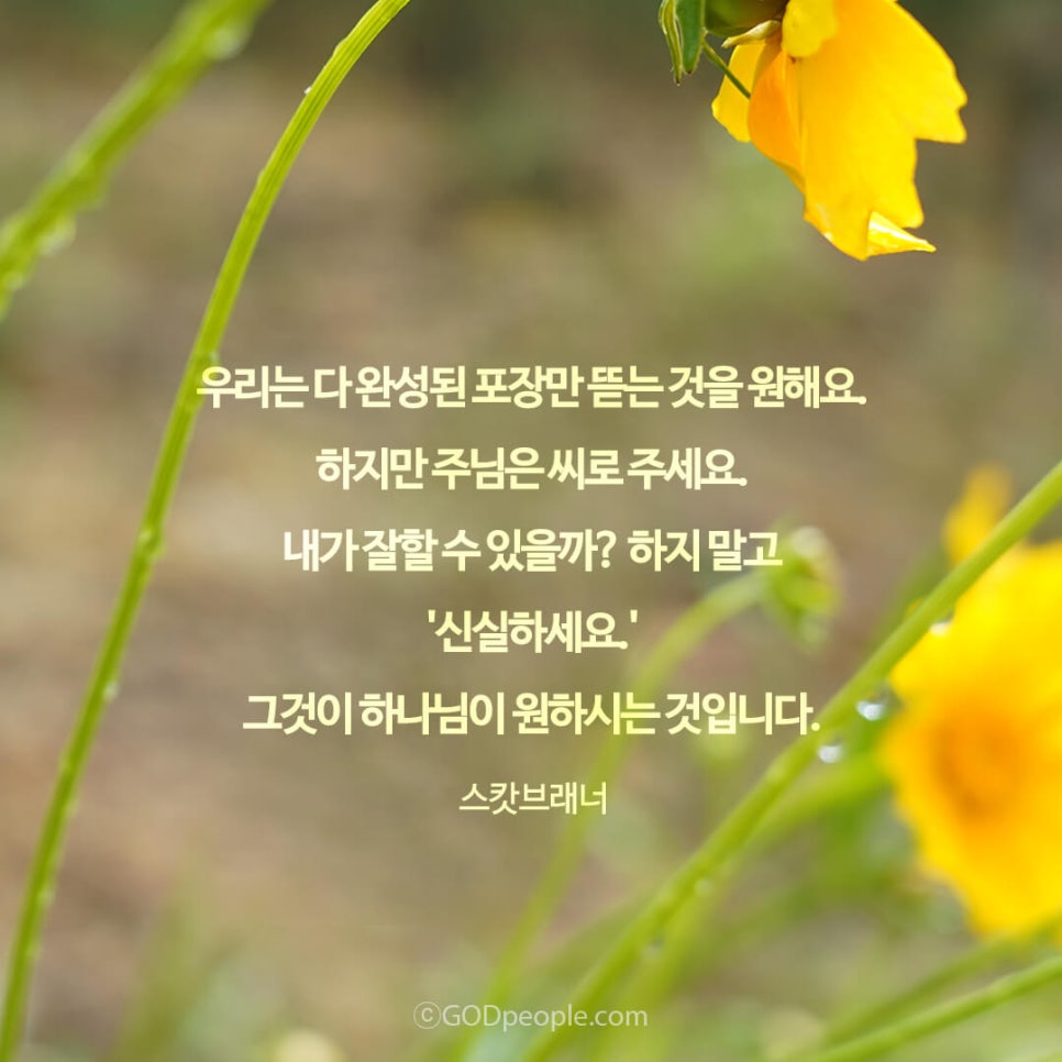 나눔핸드폰 이미지