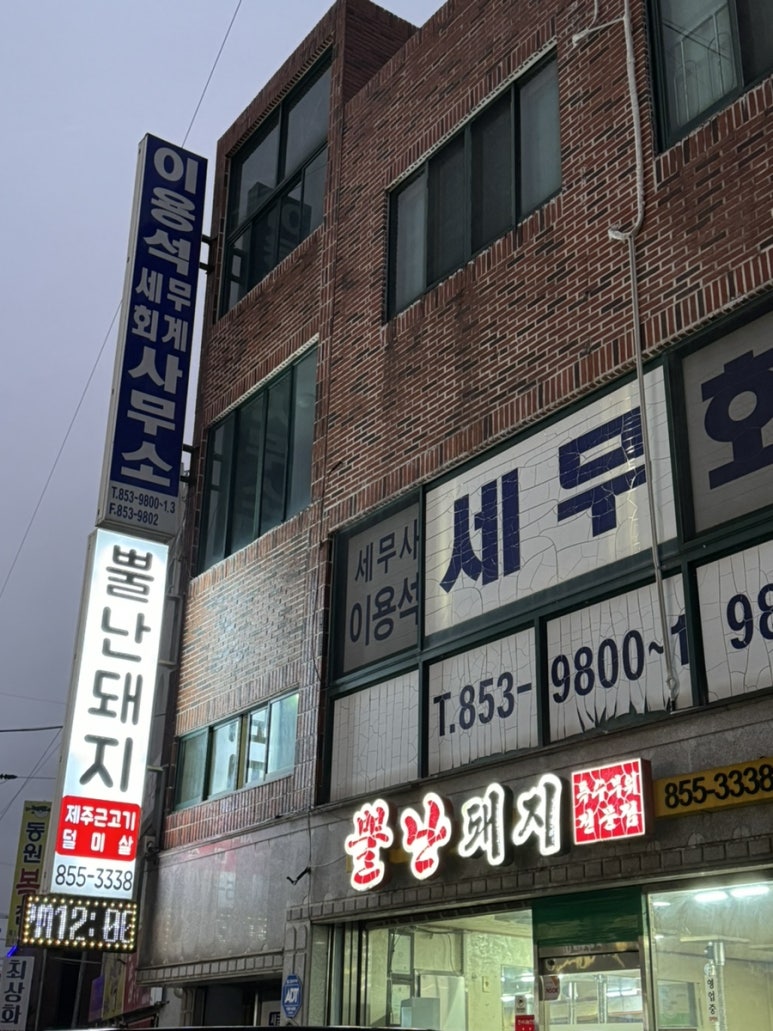 뿔난돼지 이미지