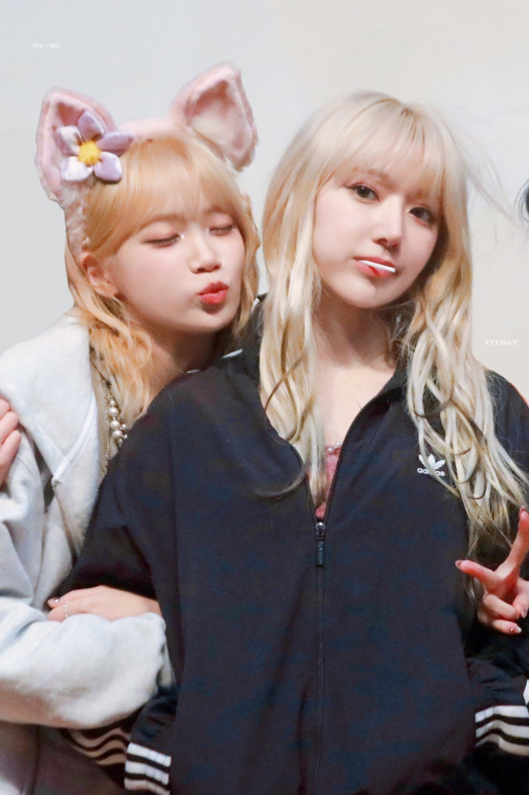 쿠라 이미지