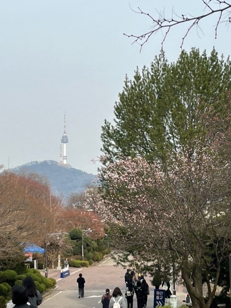 샐러브리 이미지