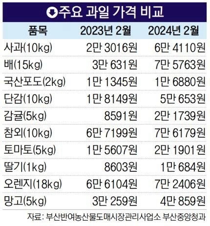 요즘과일 이미지