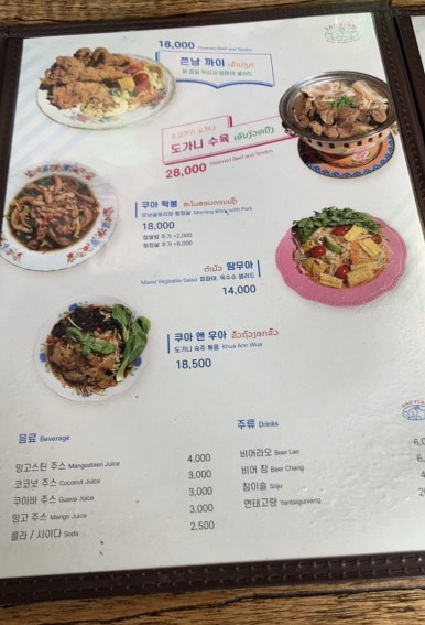 라오삐약 이미지