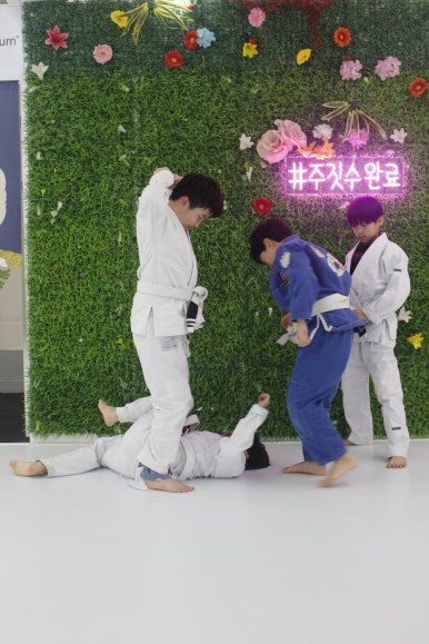 팀루츠 이미지