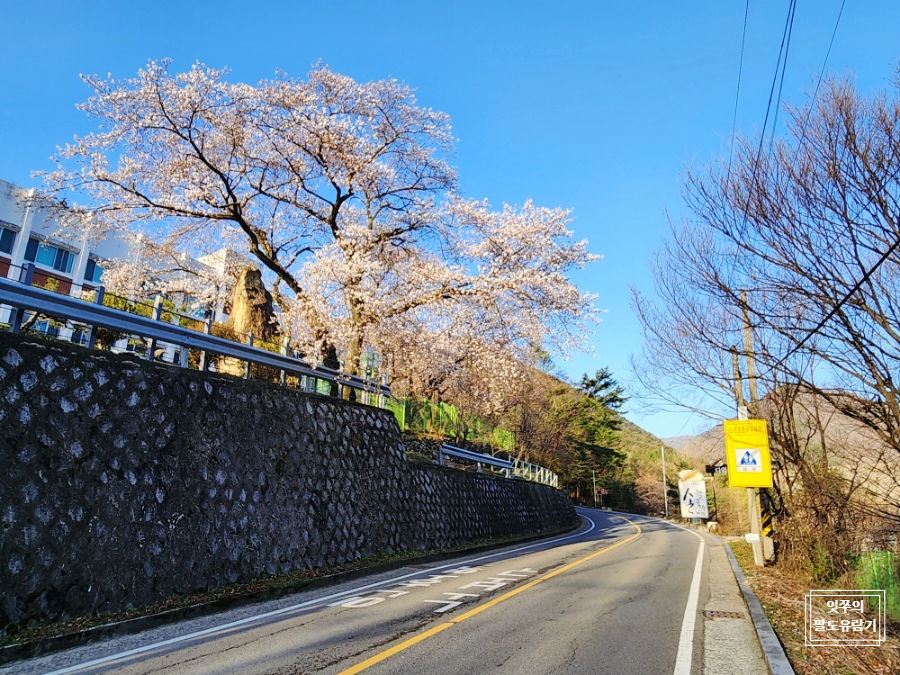 가창쌀찐빵만두 이미지