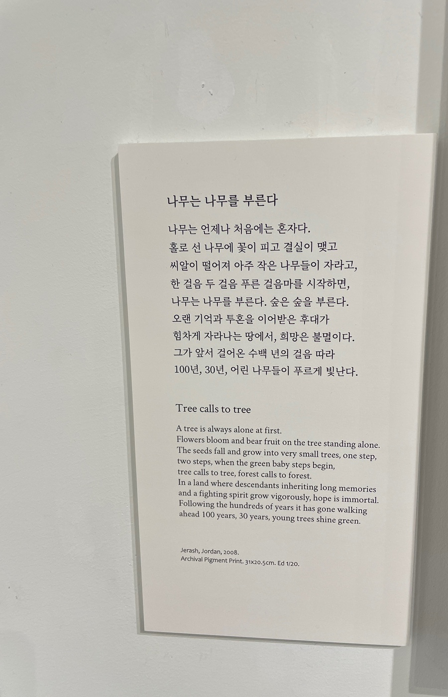 카페 올리브나무 이미지
