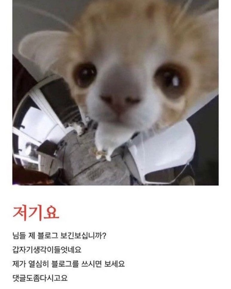 겟소 이미지