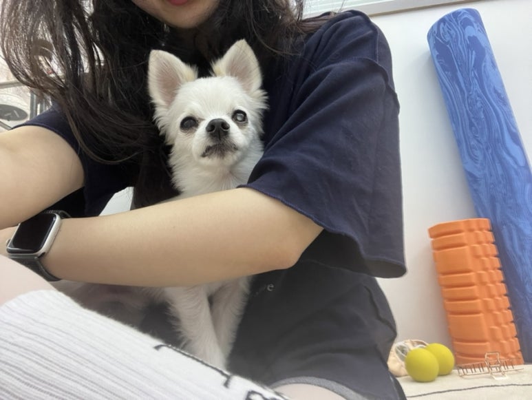 발레스탠스 이미지