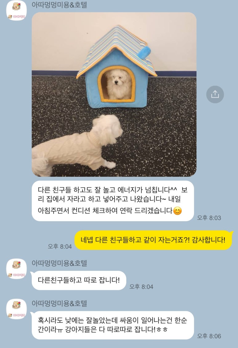 아따멍멍 이미지