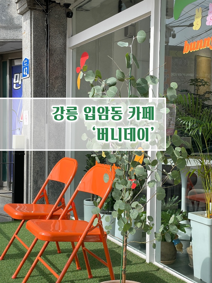 버니데이 이미지