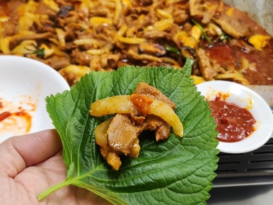 착한 생오리 이미지