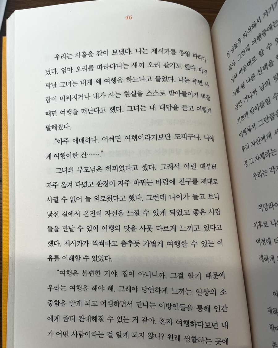 달에사는고래 이미지