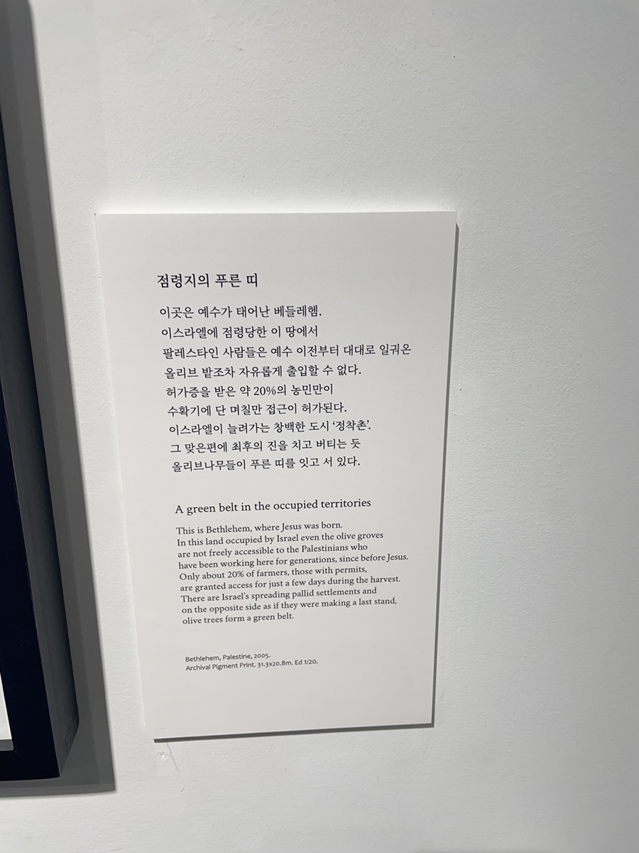 라갤러리 이미지