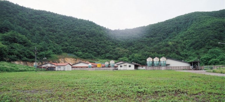 돼지유통 이미지