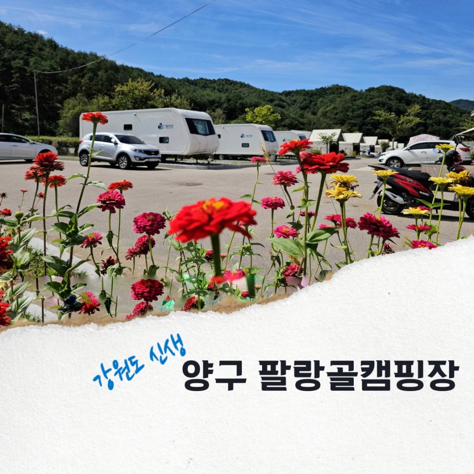 곰취향 가득한 팔랑골 캠핑장 이미지