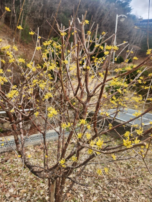 (주)기흥사 이미지