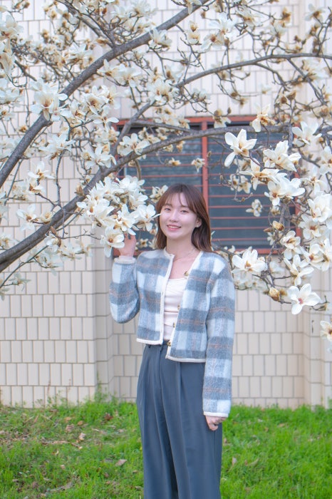 브래드몽드 이미지