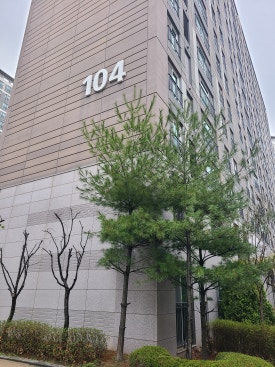 태봉분식 이미지