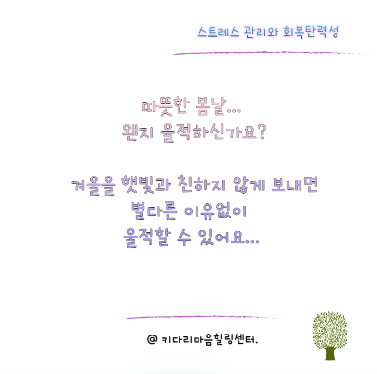 알아차림코칭센터 이미지