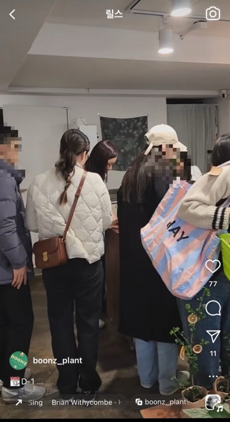 분즈 이미지