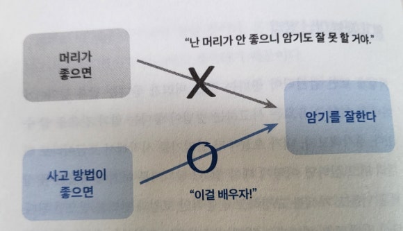 법무법인가람 이미지