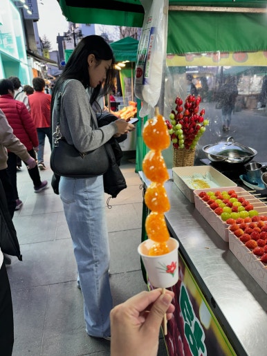 투어일일사주 이미지