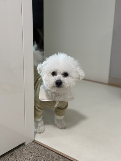 거두분식 이미지
