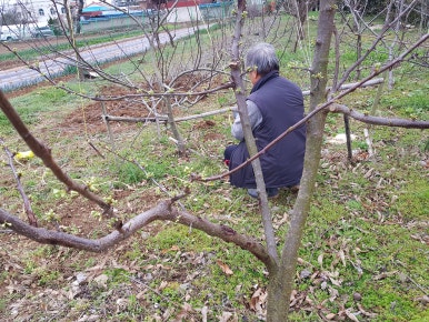 힘쎈인력 이미지