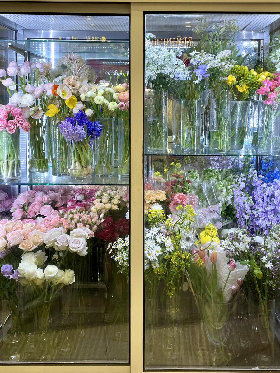 꽃;건네다 이미지