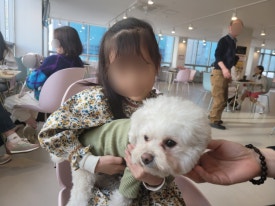 라라쥬카페 이미지