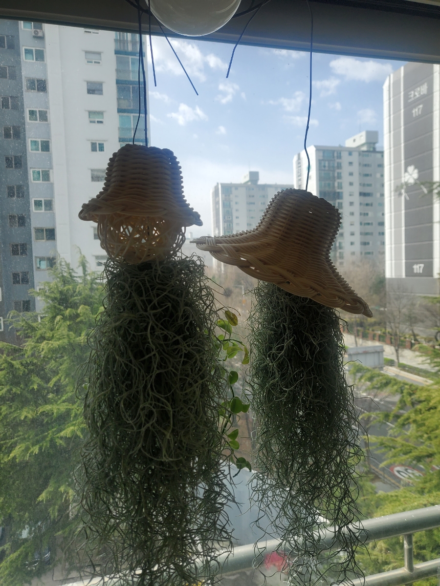라탄스튜디오히히하하 이미지
