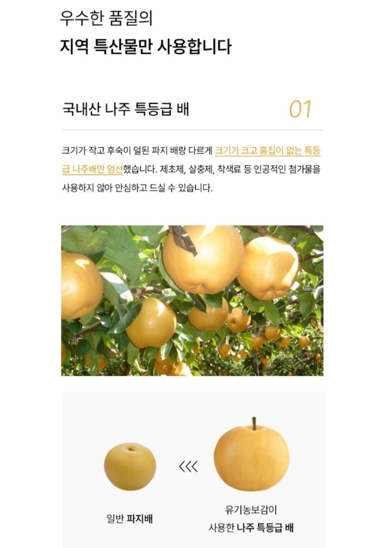 나주배유기 이미지