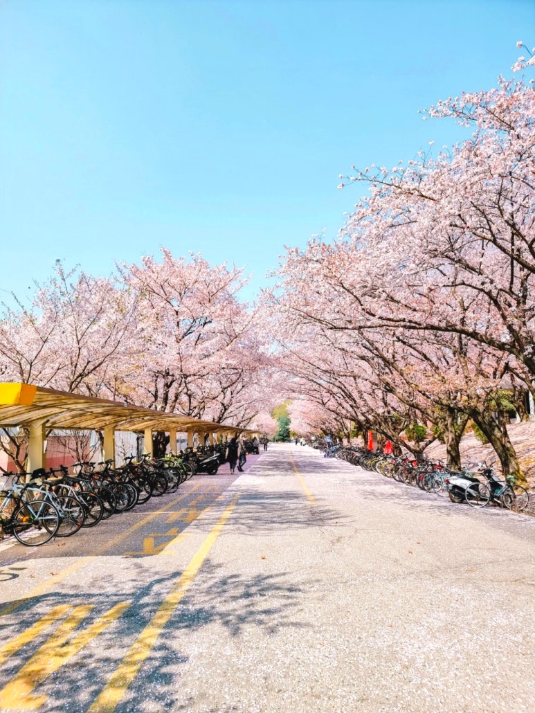 오다;가다 이미지