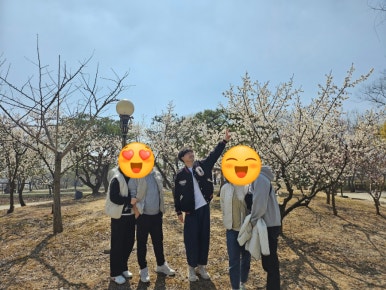 청양나무시장 이미지