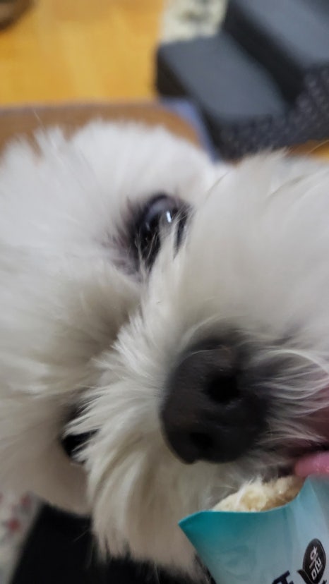 푸라닭 울산언양점 이미지