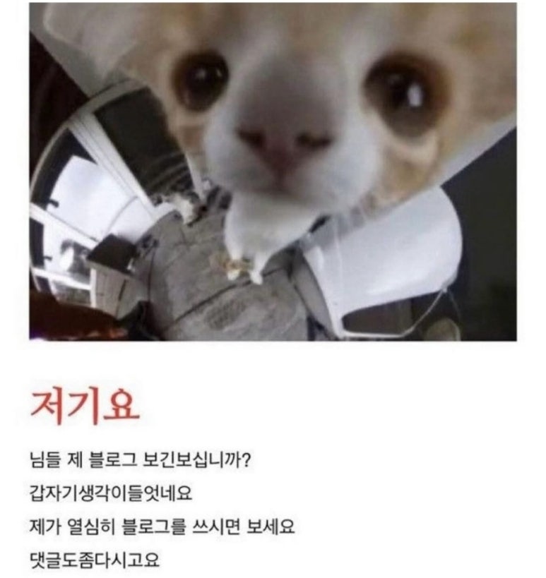 바다사랑회포차 이미지