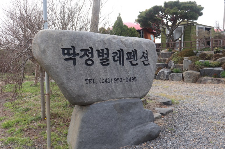 딱정벌레펜션 이미지