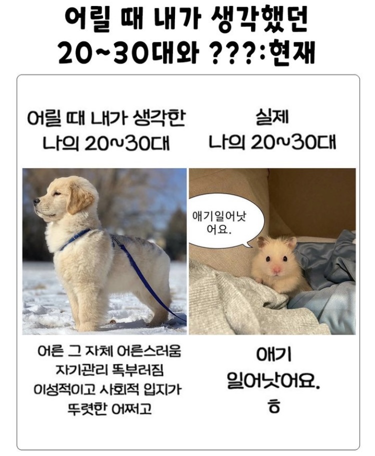 묵찌빠 이미지