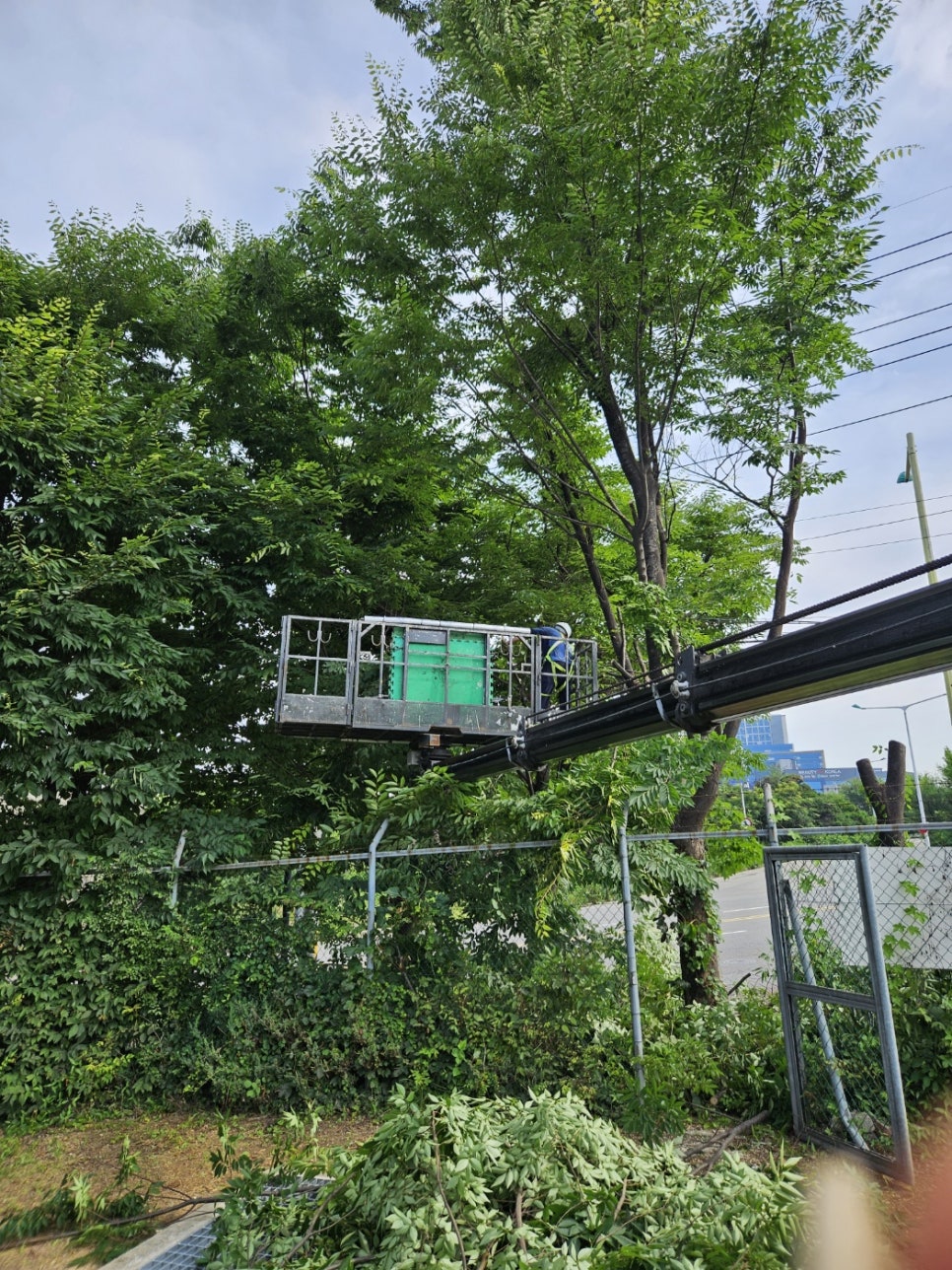 세진종합관리 이미지