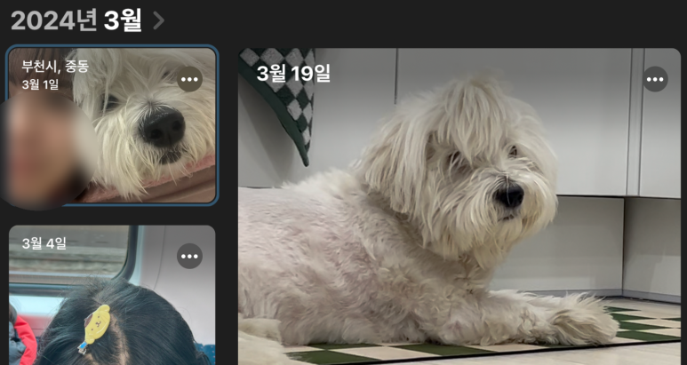 부에뜨 이미지