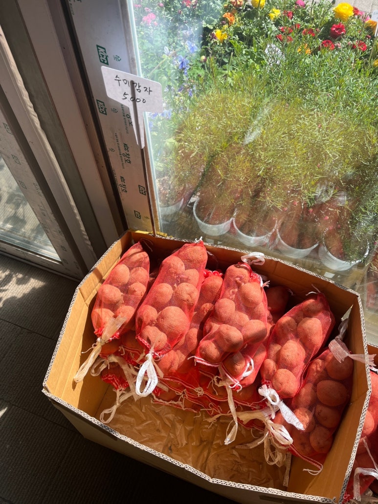 강북화원 이미지