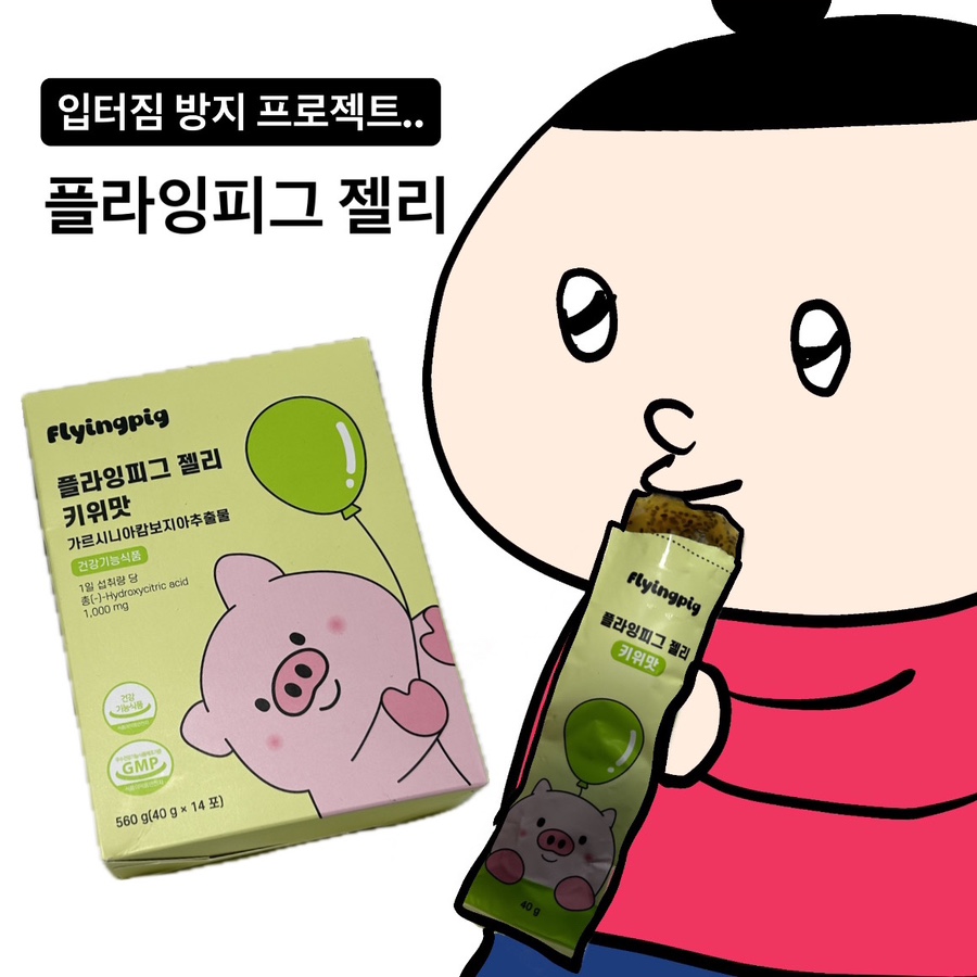 플라잉 피그 이미지