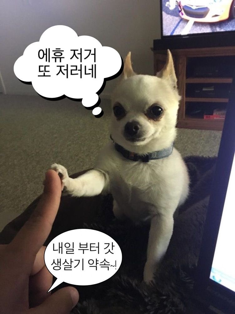 소소떡볶이 경인교대점 이미지