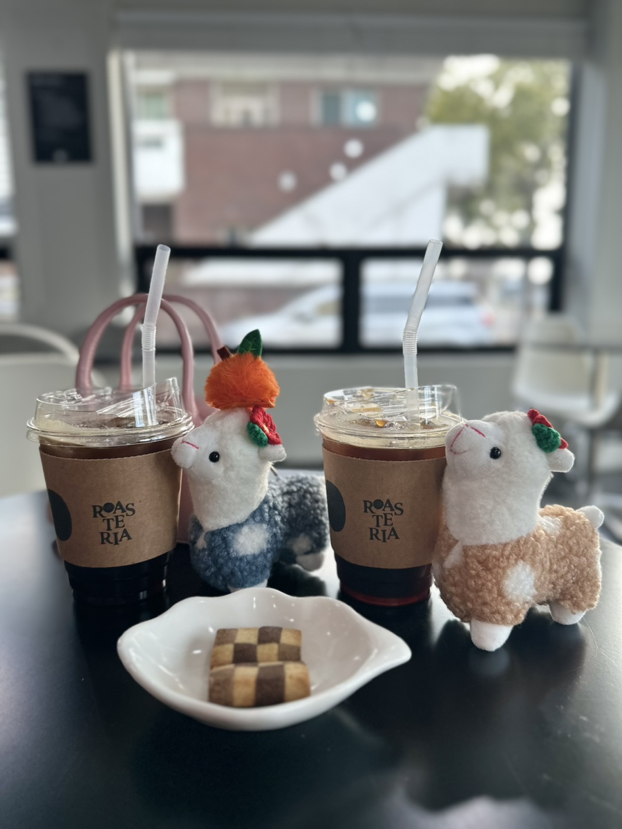 제주커피로스테리아 이미지