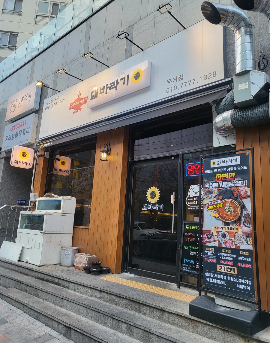 돼바라기무거점 이미지