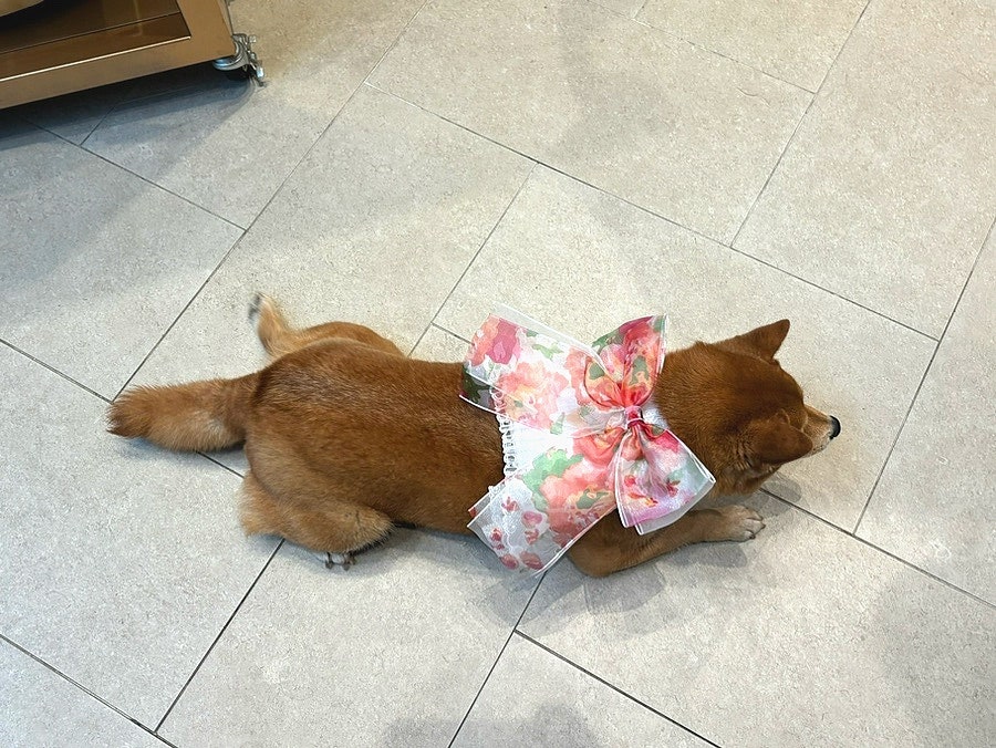 코코아울렛 이미지