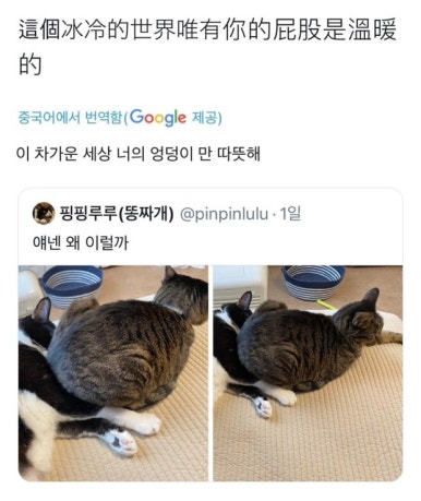 모몽가 이미지