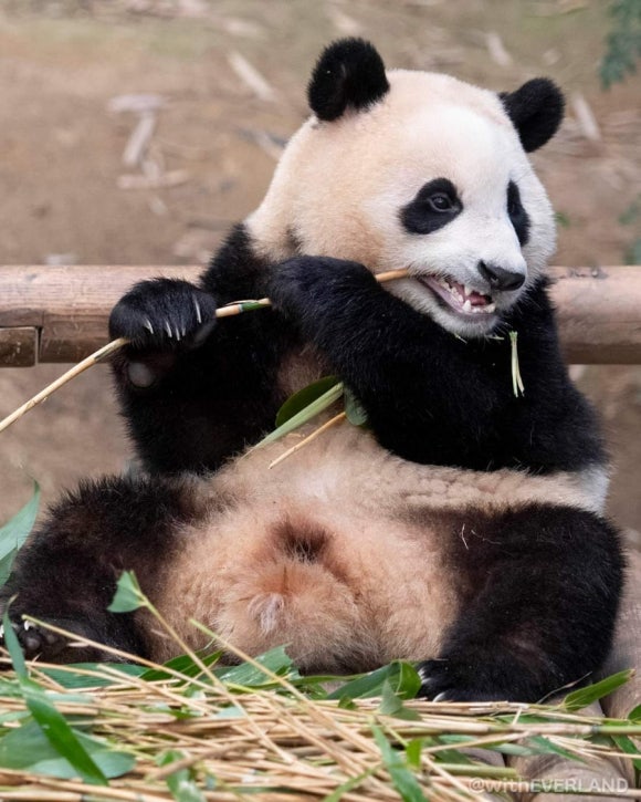 행복사진관 이미지
