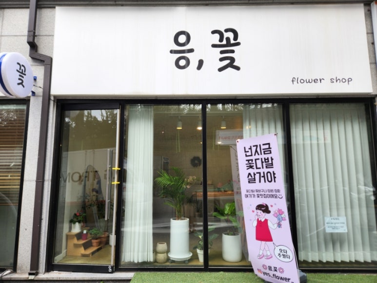 응;꽃 이미지