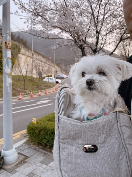 대구도원중학교 이미지